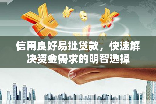 海安信用良好易批贷款，快速解决资金需求的明智选择