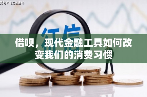 海安借呗，现代金融工具如何改变我们的消费习惯