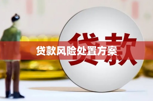 海安贷款风险处置方案
