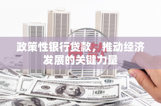 海安政策性银行贷款，推动经济发展的关键力量