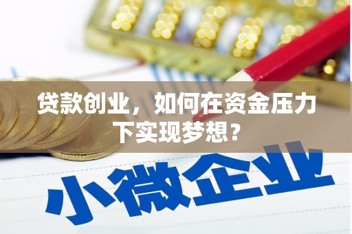 海安贷款创业，如何在资金压力下实现梦想？