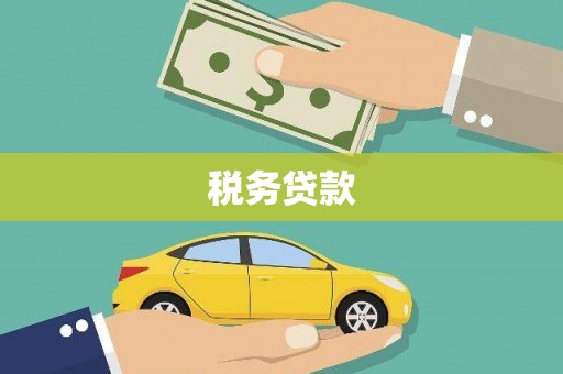 海安税务贷款