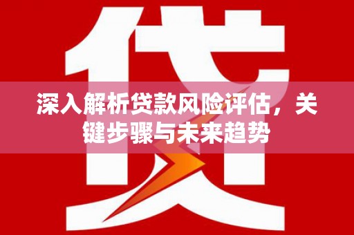 海安深入解析贷款风险评估，关键步骤与未来趋势