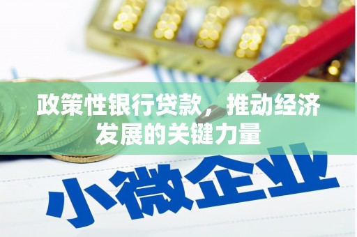 海安政策性银行贷款，推动经济发展的关键力量
