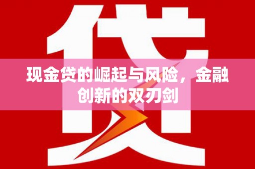 海安现金贷的崛起与风险，金融创新的双刃剑