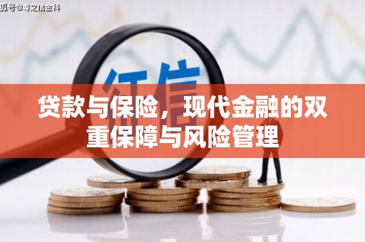 海安贷款与保险，现代金融的双重保障与风险管理