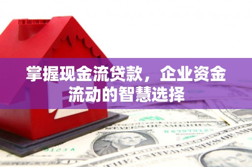 海安掌握现金流贷款，企业资金流动的智慧选择