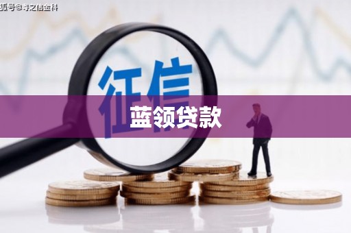海安蓝领贷款