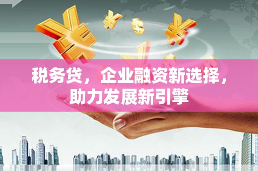 海安税务贷，企业融资新选择，助力发展新引擎