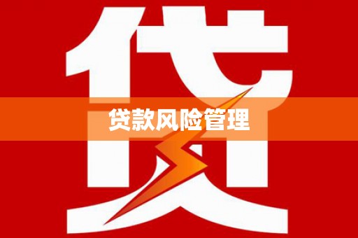 海安贷款风险管理