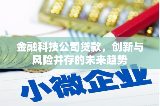 海安金融科技公司贷款，创新与风险并存的未来趋势