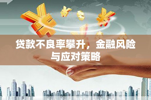 海安贷款不良率攀升，金融风险与应对策略