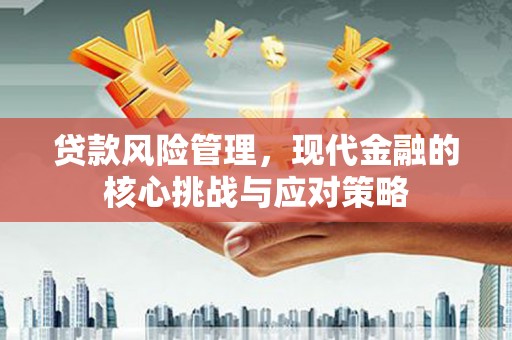 海安贷款风险管理，现代金融的核心挑战与应对策略