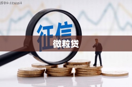 海安微粒贷