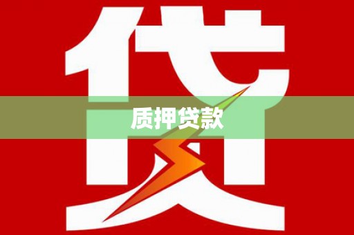 海安质押贷款