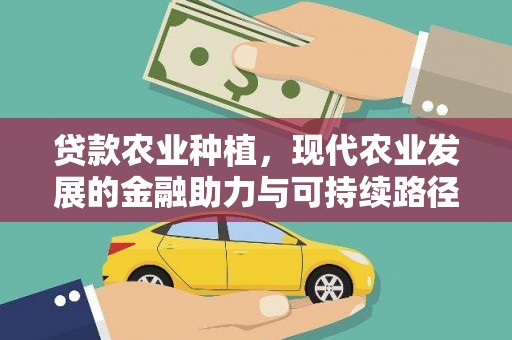 海安贷款农业种植，现代农业发展的金融助力与可持续路径