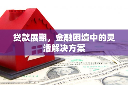 海安贷款展期，金融困境中的灵活解决方案