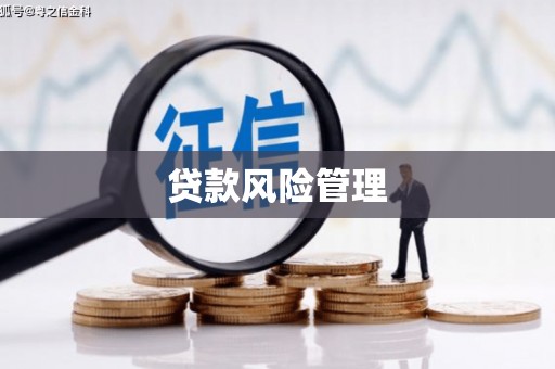 海安贷款风险管理