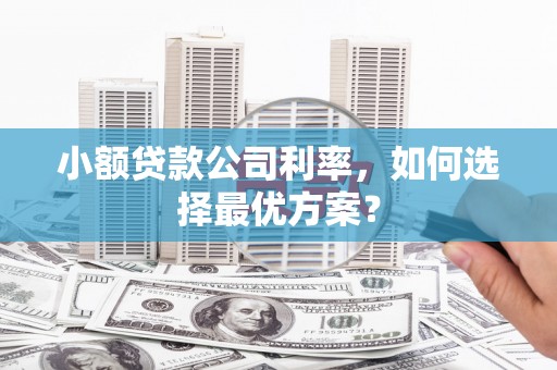 海安小额贷款公司利率，如何选择最优方案？