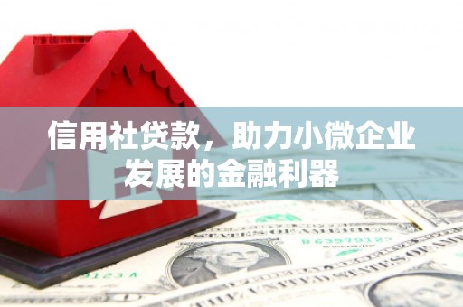 海安信用社贷款，助力小微企业发展的金融利器