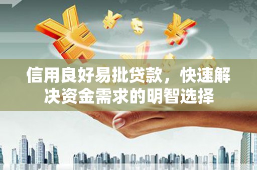 海安信用良好易批贷款，快速解决资金需求的明智选择