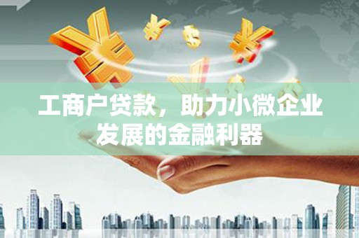 海安工商户贷款，助力小微企业发展的金融利器