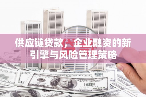 海安供应链贷款，企业融资的新引擎与风险管理策略