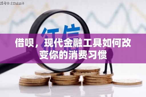 海安借呗，现代金融工具如何改变你的消费习惯