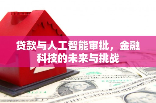 海安贷款与人工智能审批，金融科技的未来与挑战