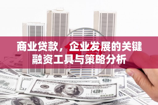海安商业贷款，企业发展的关键融资工具与策略分析