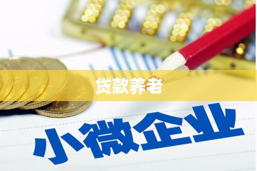 海安贷款养老