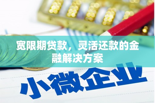 海安宽限期贷款，灵活还款的金融解决方案