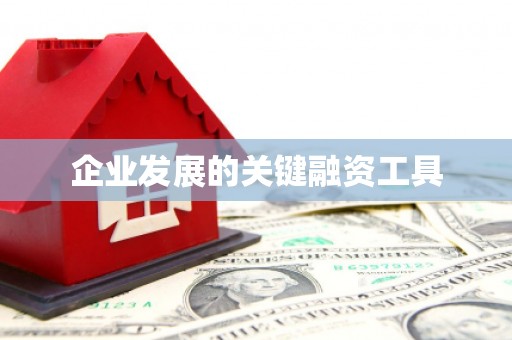 海安企业发展的关键融资工具