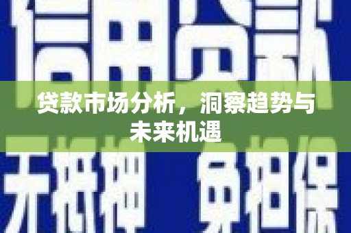 海安贷款市场分析，洞察趋势与未来机遇