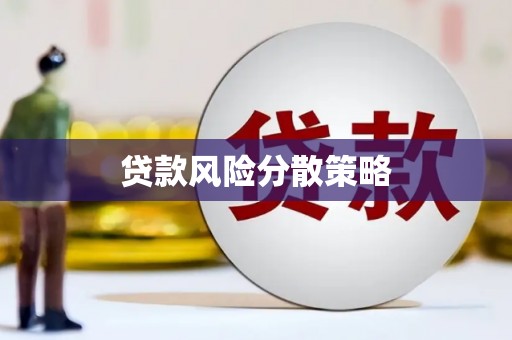 海安贷款风险分散策略