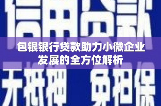 海安包银银行贷款助力小微企业发展的全方位解析