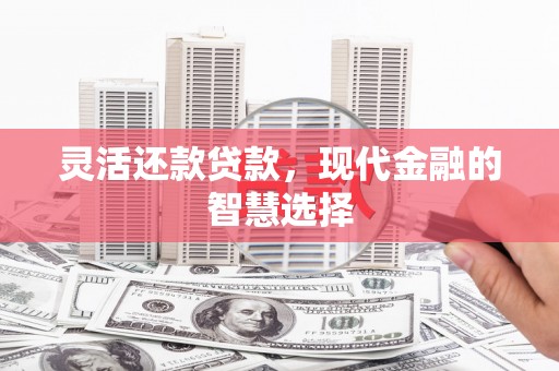 海安灵活还款贷款，现代金融的智慧选择