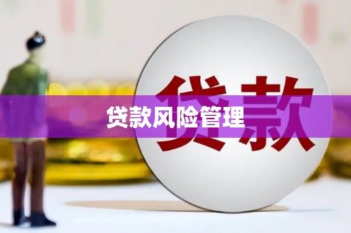 海安贷款风险管理