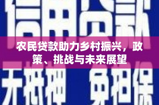 海安农民贷款助力乡村振兴，政策、挑战与未来展望