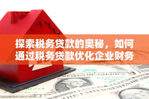 海安探索税务贷款的奥秘，如何通过税务贷款优化企业财务