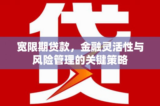 海安宽限期贷款，金融灵活性与风险管理的关键策略