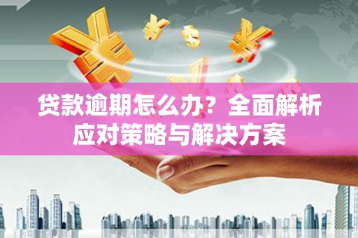 海安贷款逾期怎么办？全面解析应对策略与解决方案