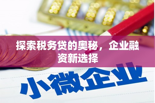 海安探索税务贷的奥秘，企业融资新选择