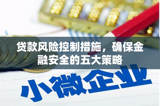 海安贷款风险控制措施，确保金融安全的五大策略