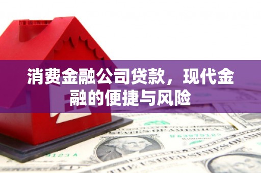 海安消费金融公司贷款，现代金融的便捷与风险