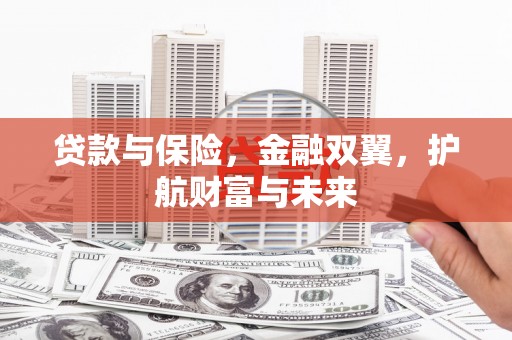 海安贷款与保险，金融双翼，护航财富与未来