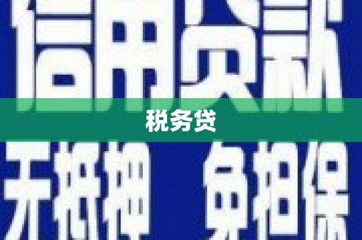 海安税务贷
