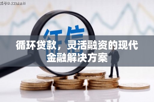 海安循环贷款，灵活融资的现代金融解决方案
