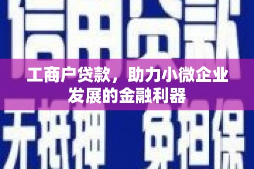 海安工商户贷款，助力小微企业发展的金融利器