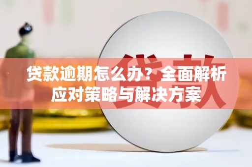 海安贷款逾期怎么办？全面解析应对策略与解决方案